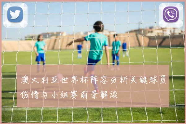 澳大利亚世界杯阵容分析关键球员伤情与小组赛前景解读