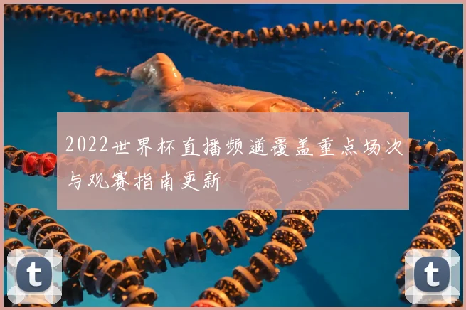 2022世界杯直播频道覆盖重点场次与观赛指南更新