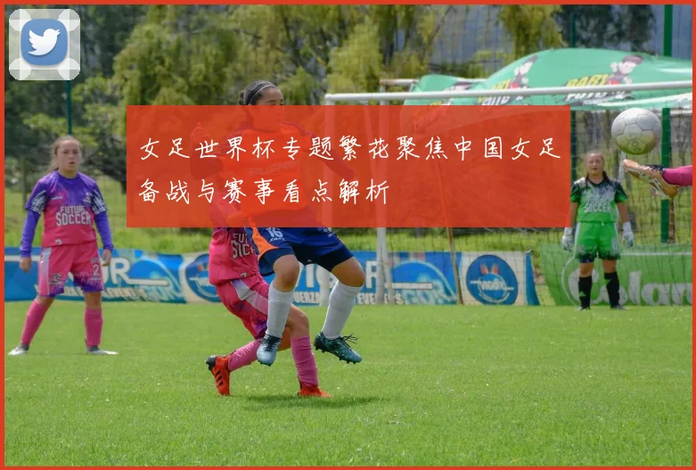 女足世界杯专题繁花聚焦中国女足备战与赛事看点解析