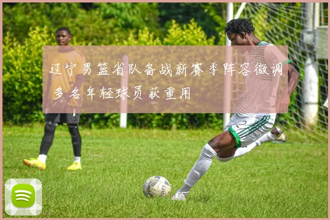 辽宁男篮省队备战新赛季阵容微调 多名年轻球员获重用